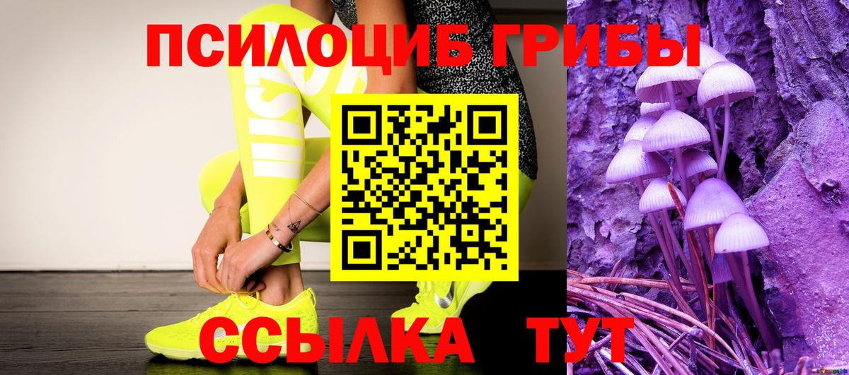 Сертолово  Псилоцибиновые грибы Psilocybe  Вход с VPN 