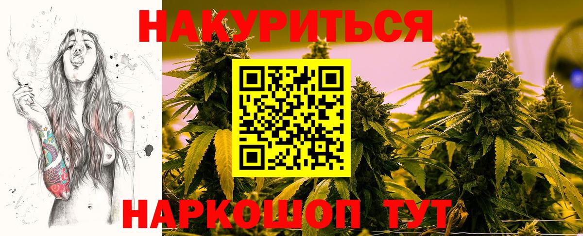 Бошки марихуана планчик  Конопля ГИДРОПОН  Шишки марихуана White Widow  Сертолово  МАРИХУАНА ГИДРОПОН  Вход с VPN 
